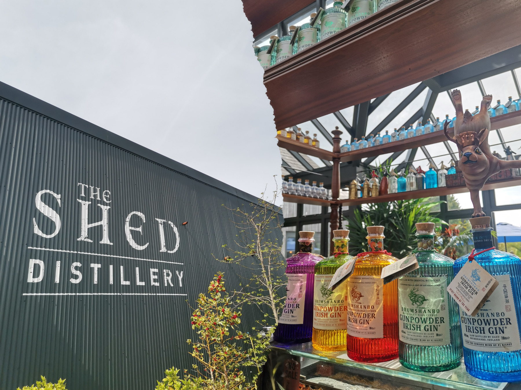 The shed distillery